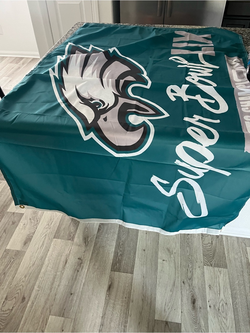 Philadelphia Eagles Teal Super Bowl LII Banner - Team Logo Flag/Banner